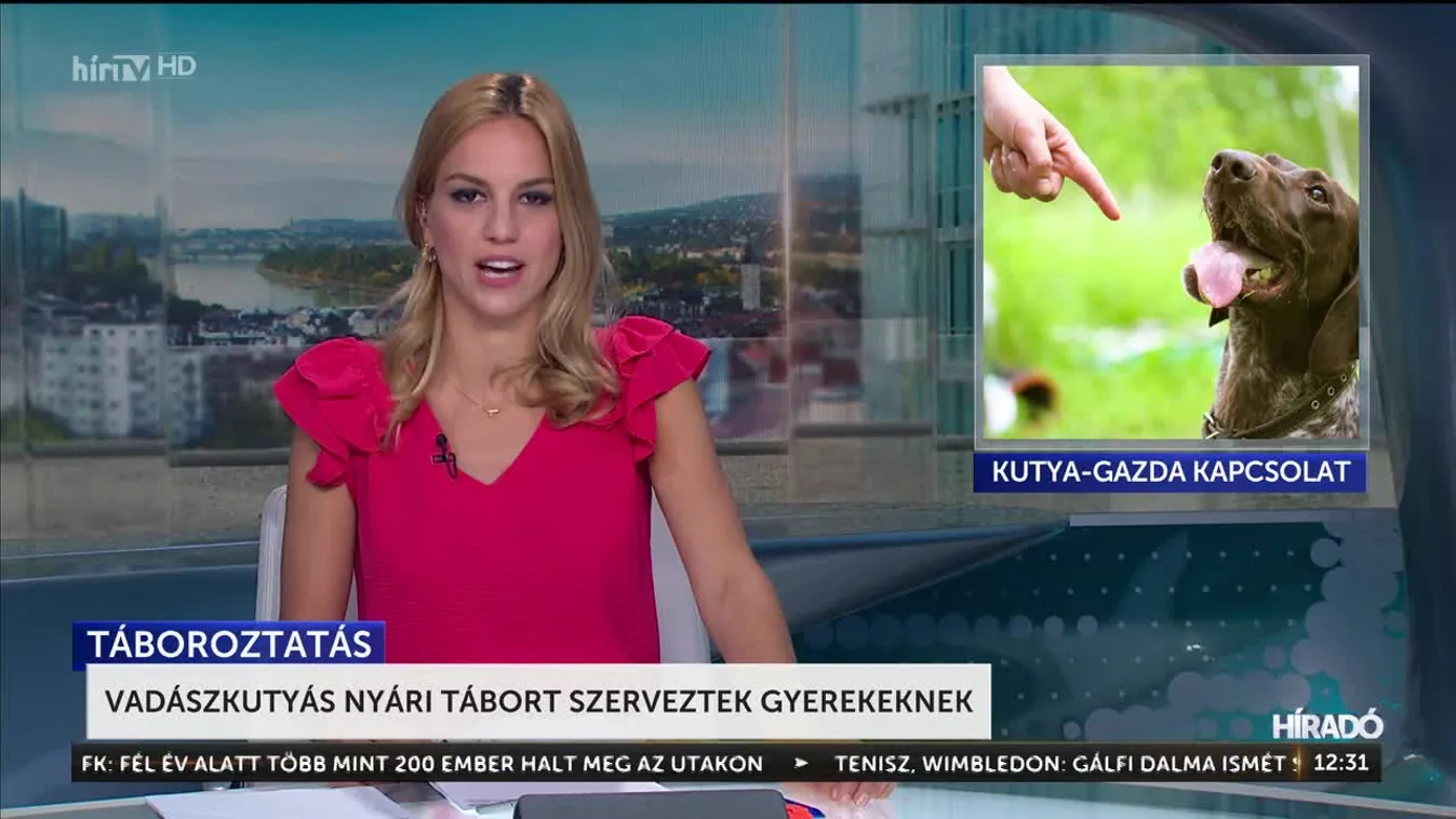 Vadászkutyás nyári tábort szerveztek gyerekeknek