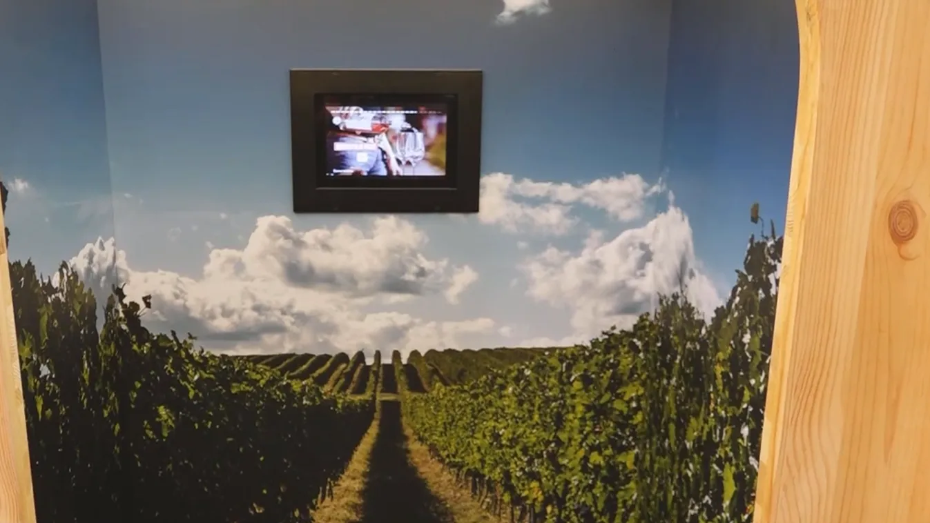 Radar - Interaktív borturisztikai kiállítás a Siklósi Várban