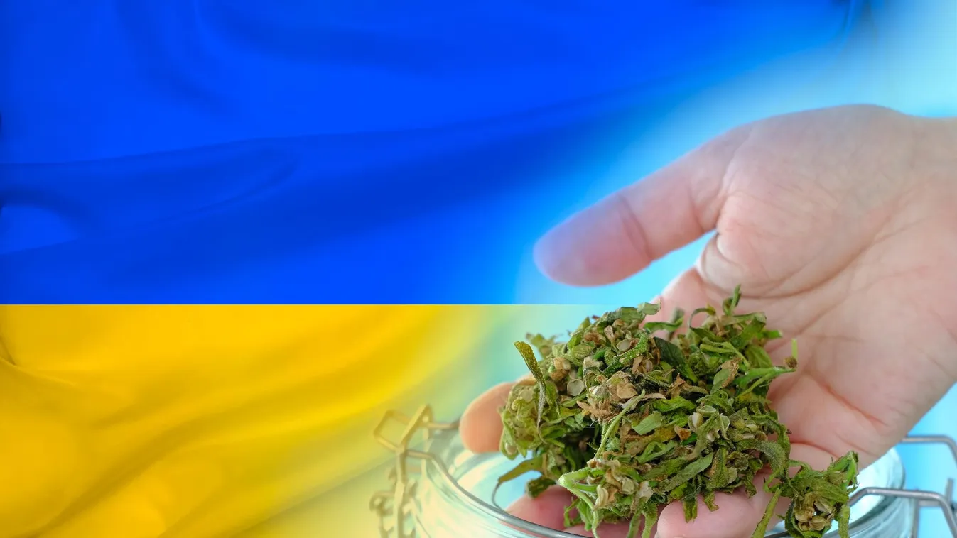 Az amerikai fegyveres támogatás kéz a kézben jár a „kultúrmisszióval”: Ukrajnában legalizálták a marihuánát