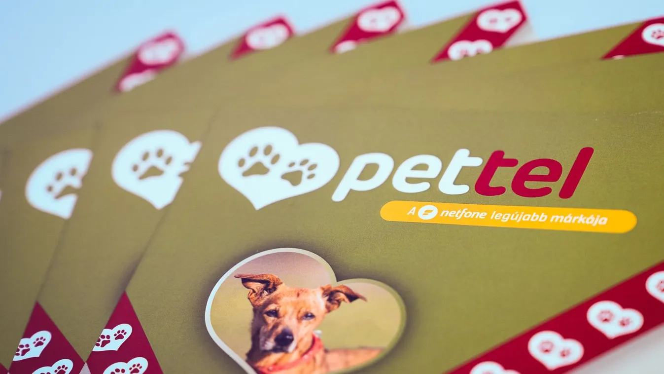 Harmincegy állatvédelmi szervezet támogatásával startol a legújabb mobilos szolgáltatás