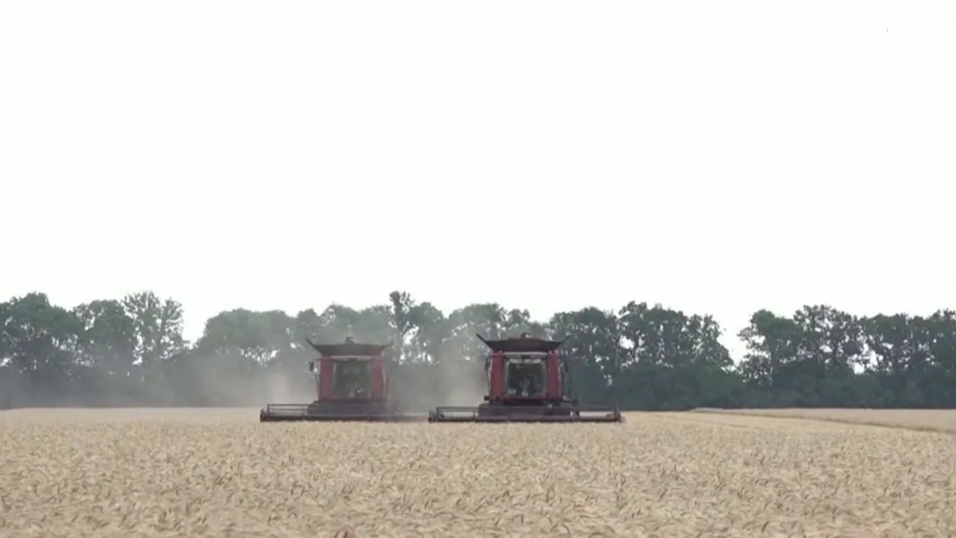 Újabb megállapodás nélkül járt le az orosz-ukrán gabonaszerződés