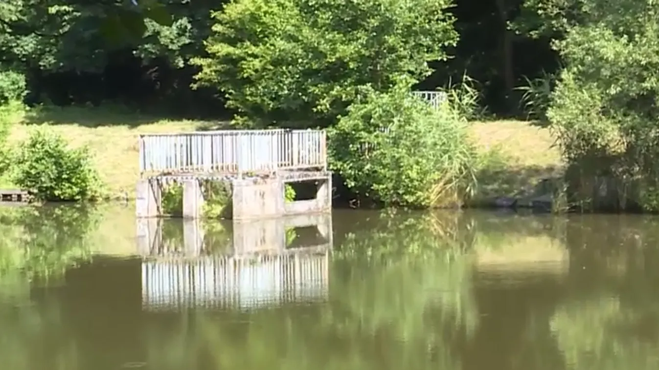 Napindító - Több mint ötven forrás a Soproni-hegységben