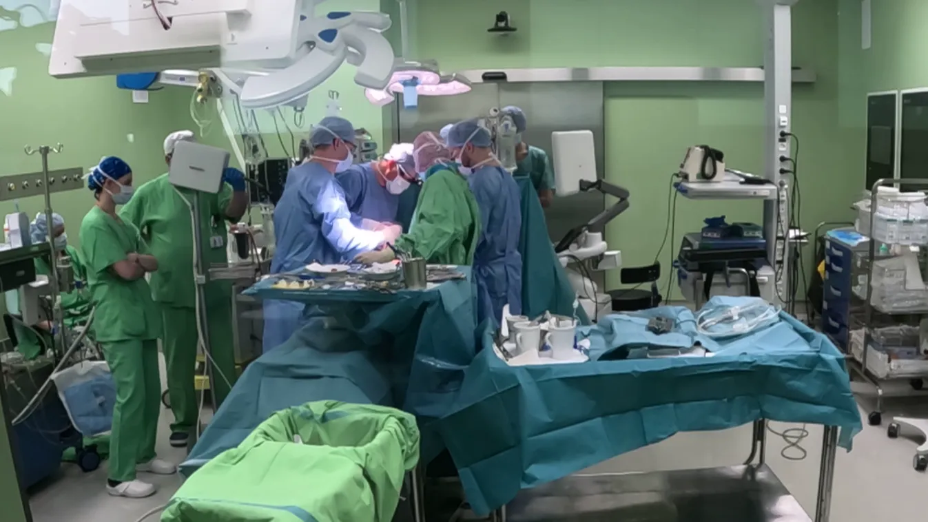 Radar - Esély az életre