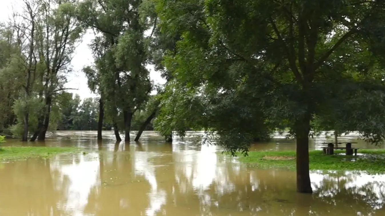 Napindító - A valaha mért legmagasabb vízállás a Dráván