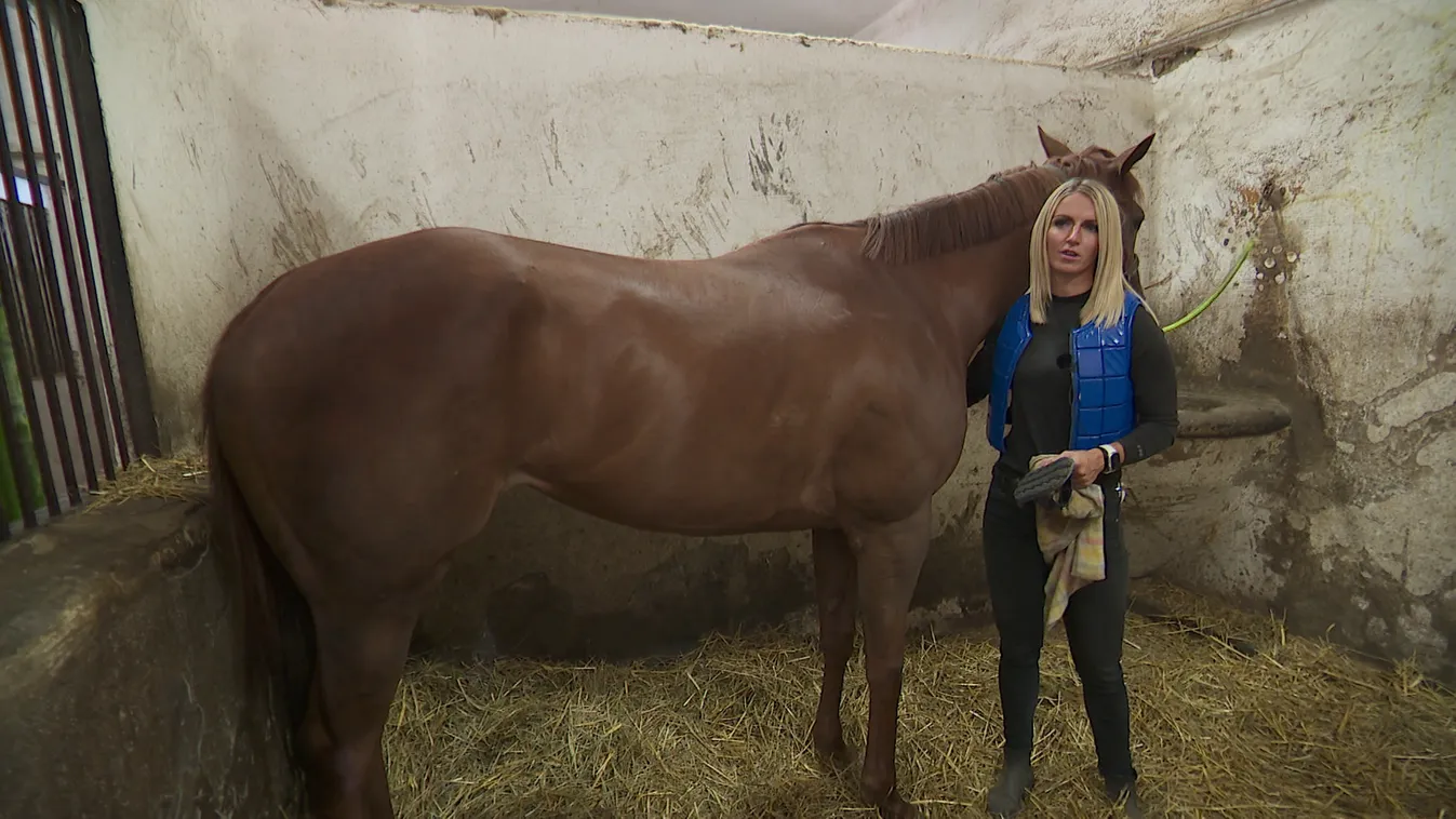 Radar - Zsoké bravúr Magyarországon