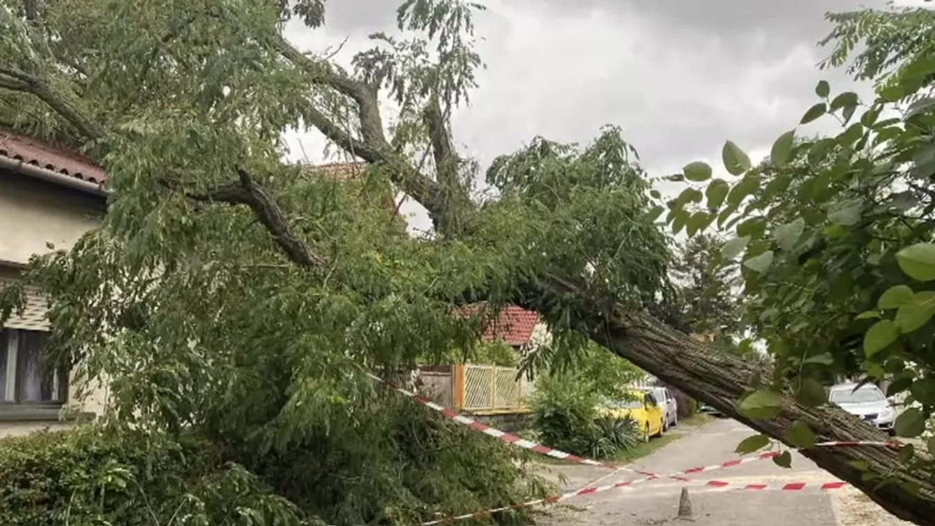 Napindító - A 18. kerületben is pusztított a hétvégi vihar