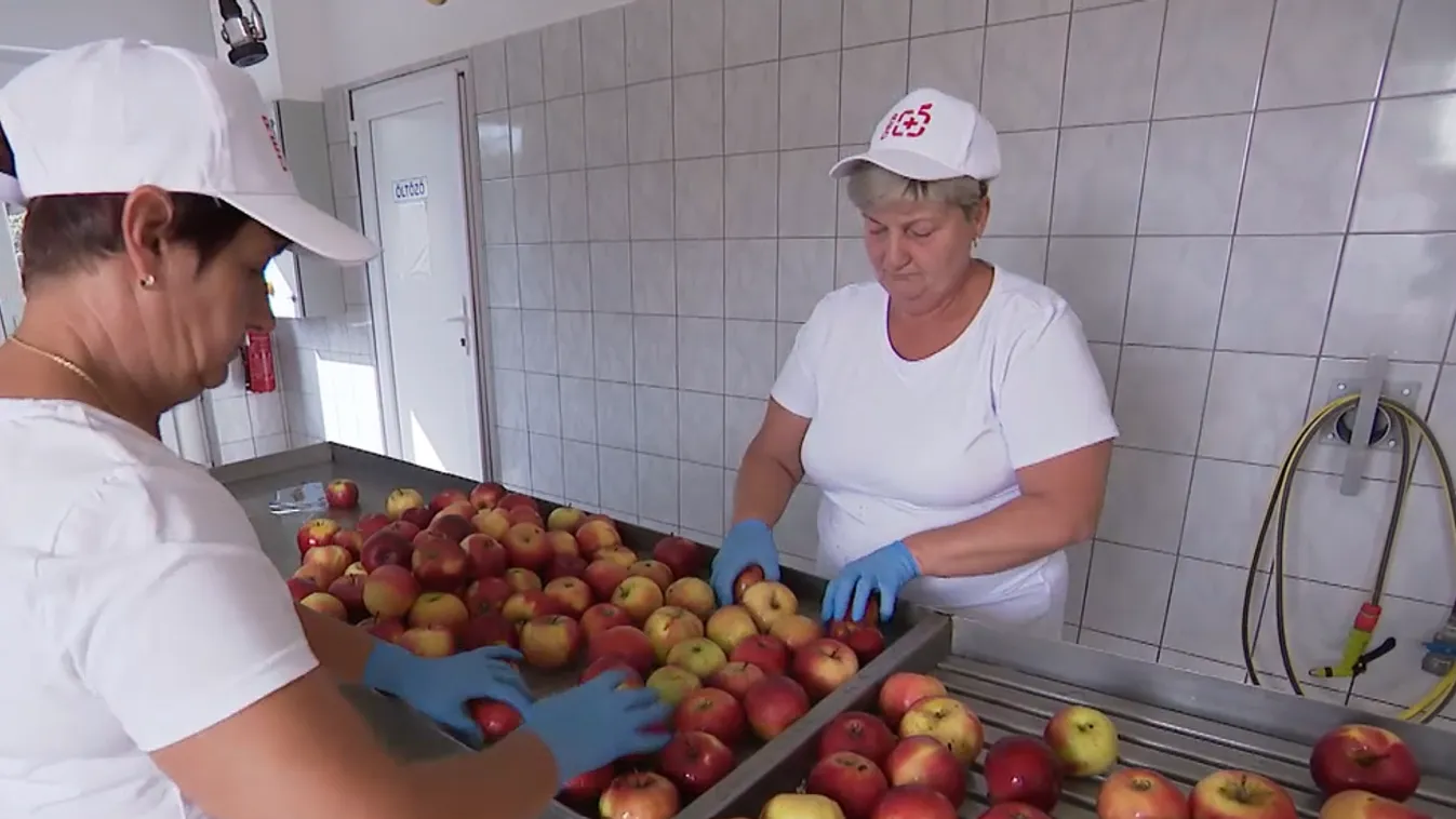 Radar - Az 5000 éves perzsa recept