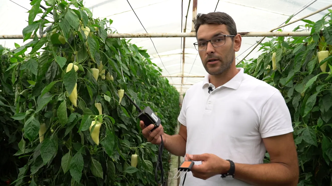 Radar - A növénytermesztés új dimenziója