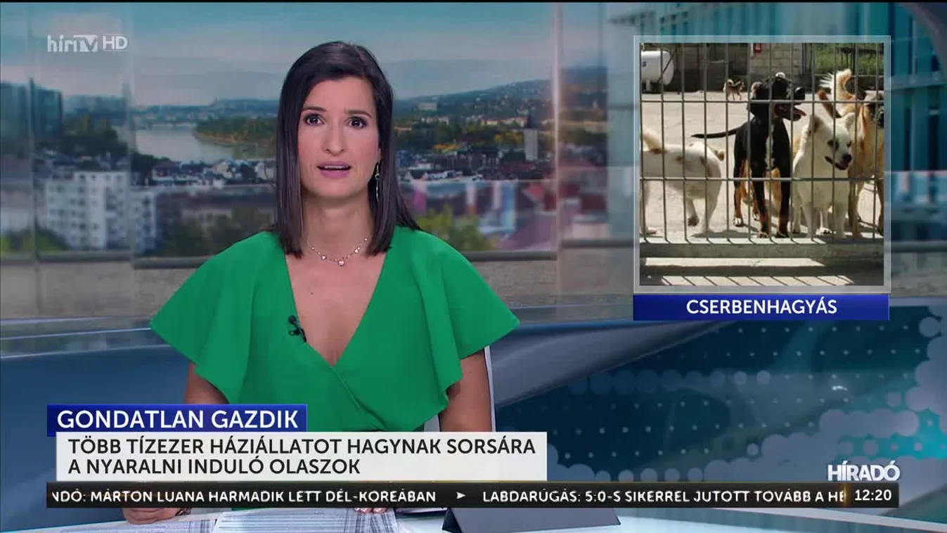 Több tízezer háziállatot hagynak sorsára a nyaralni induló olaszok