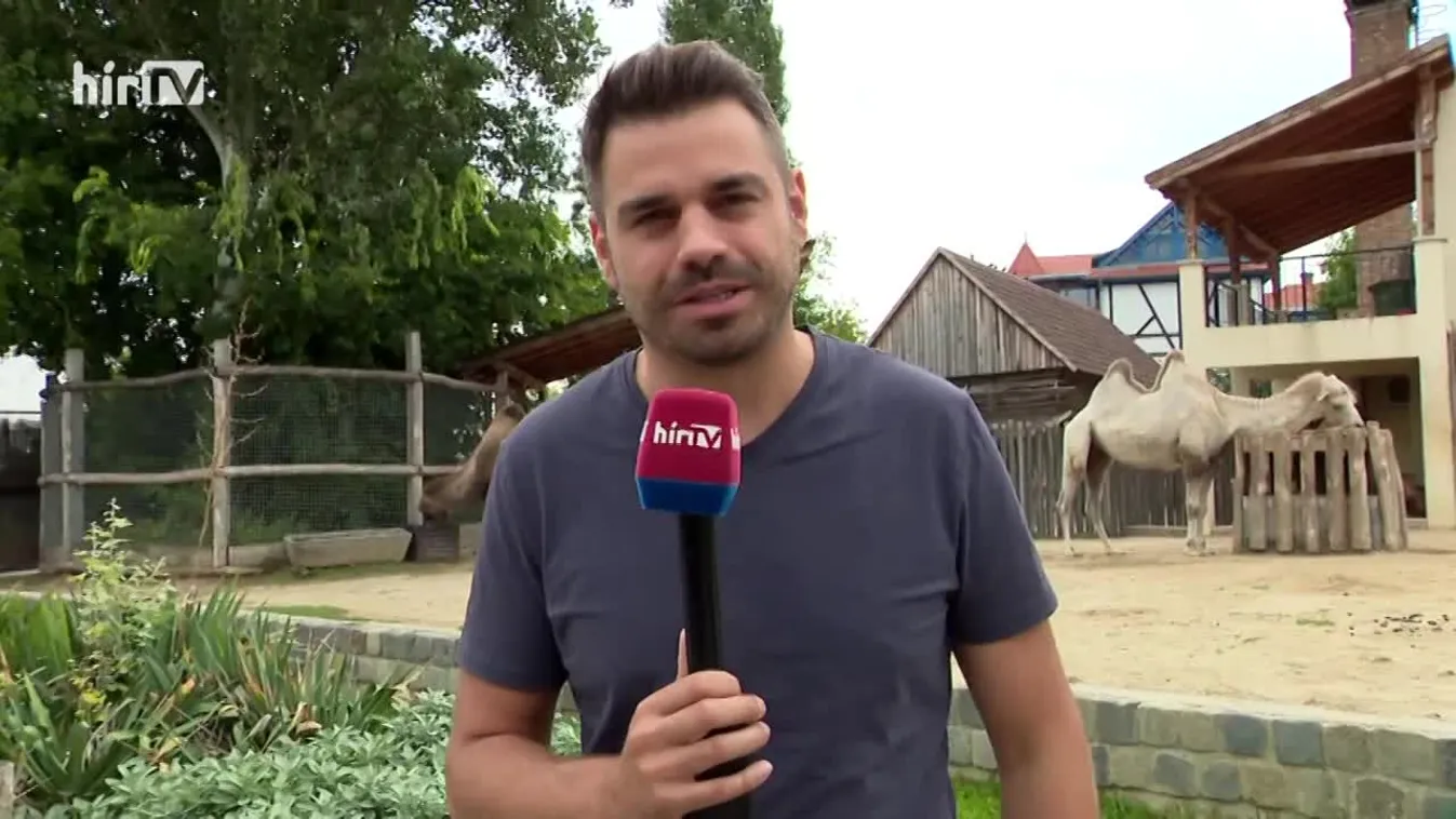 Augusztus 9-én ünnepli fennállásának 157. évfordulóját a Fővárosi Állat- és Növénykert