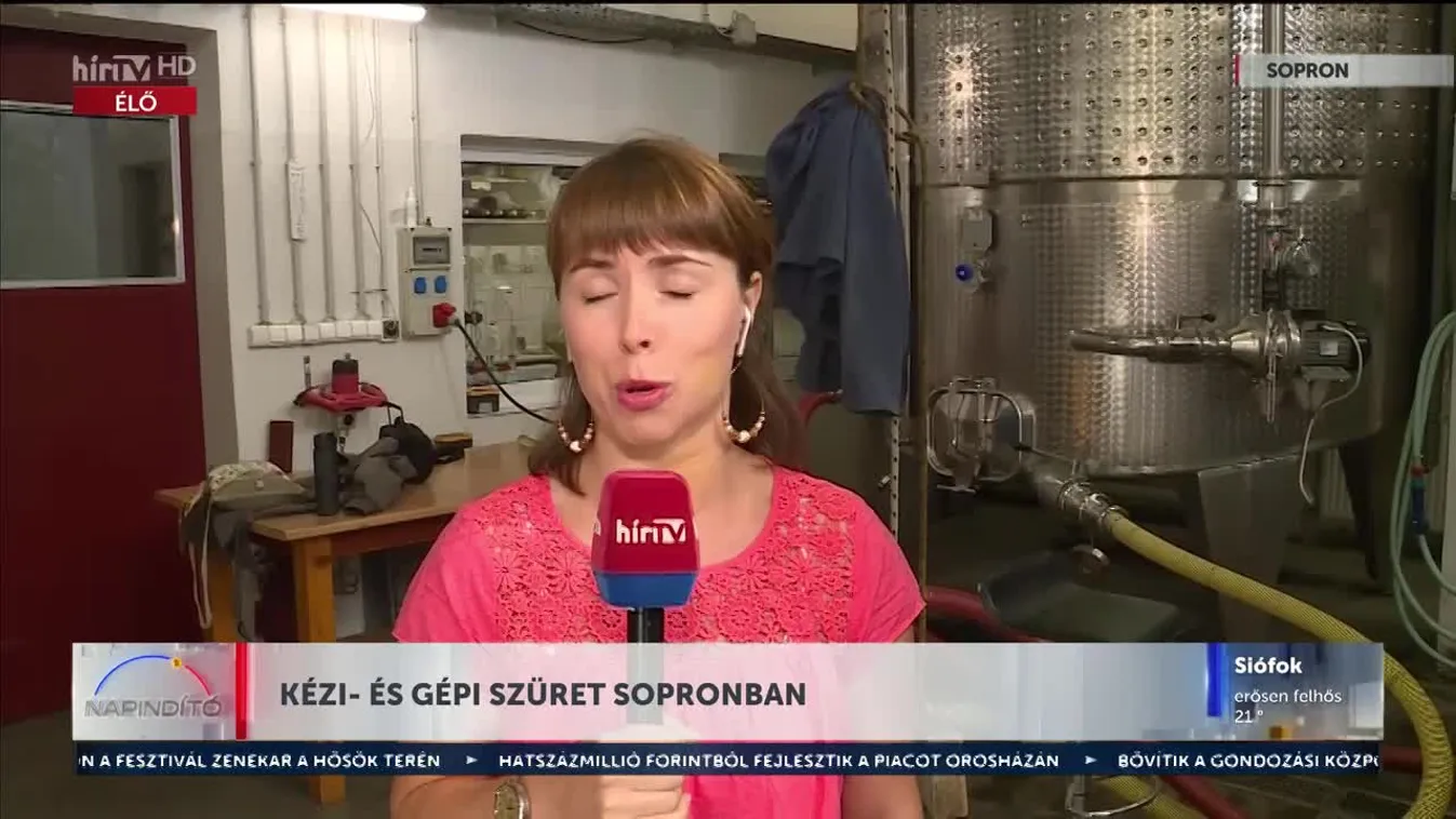 Napindító - Kézi- és gépi szüret Sopronban (2023-08-30)