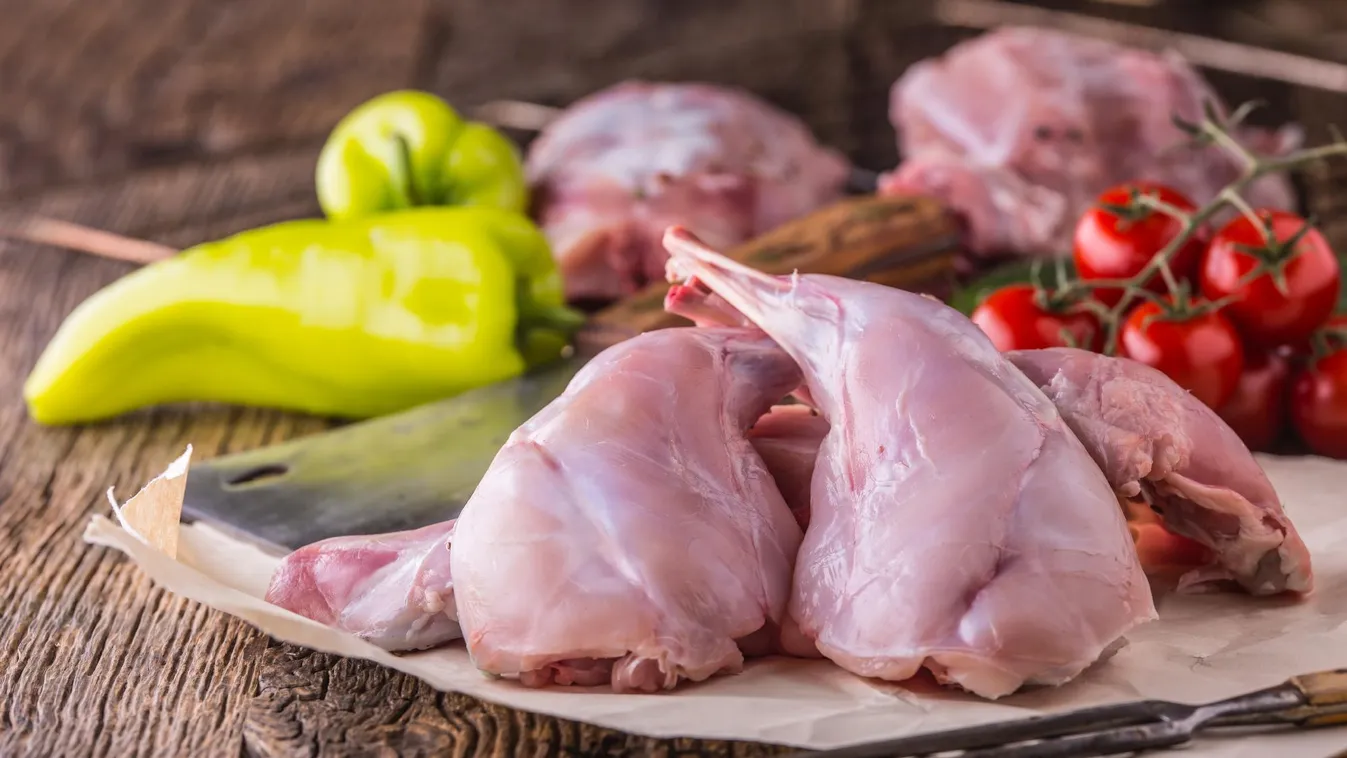 Országos kampány a nyúlhús-fogyasztás népszerűsítésére