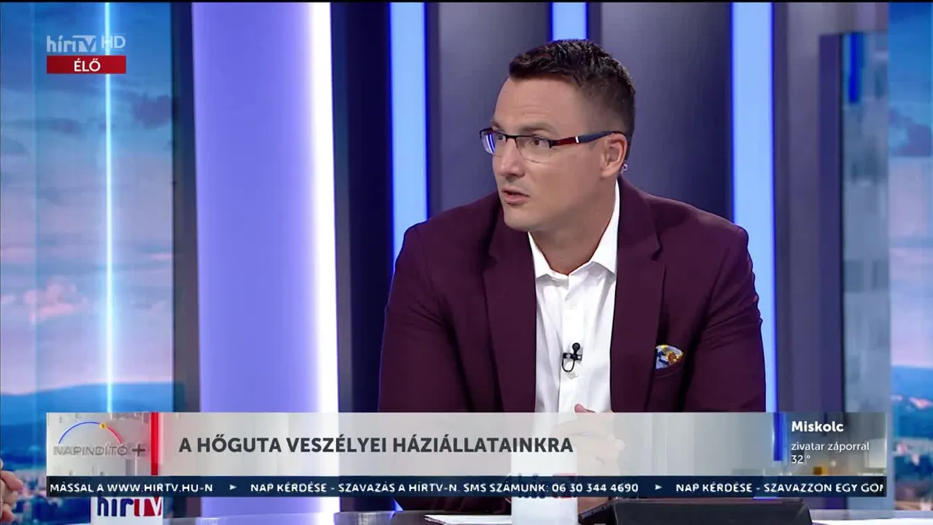 Napindító – A hőguta veszélyei háziállatainkra (2023-08-22)