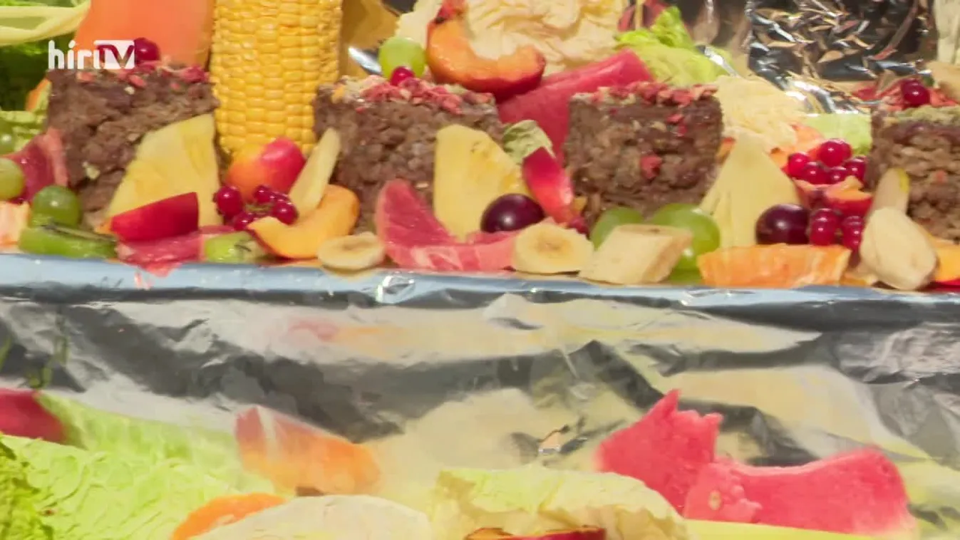 Tortával kedveskedtek a fővárosi állat- és növénykert lakóinak az intézmény születésnapján