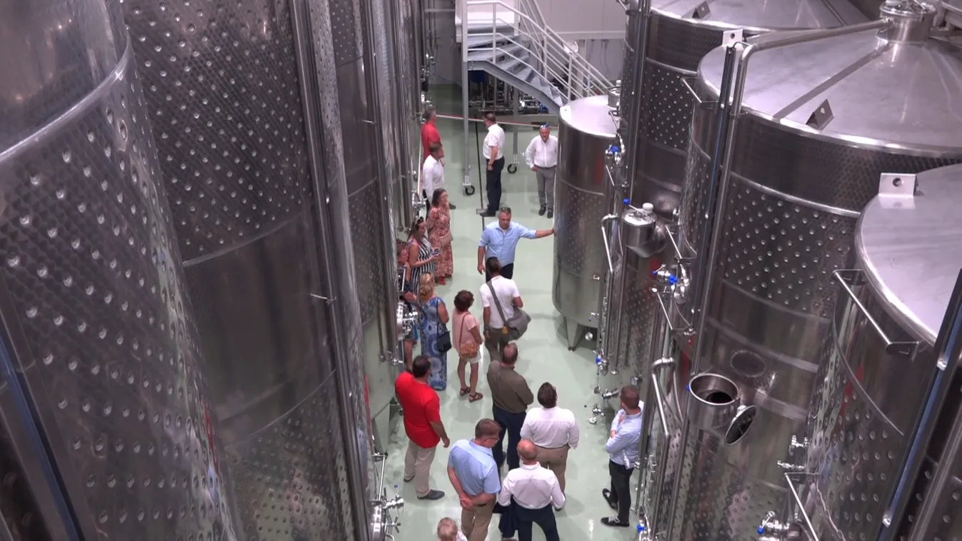 Szőlőfeldolgozó üzem épült Ordacsehiben