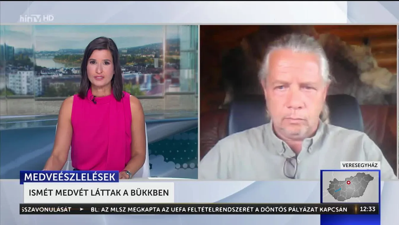 Ismét medvét láttak a Bükkben