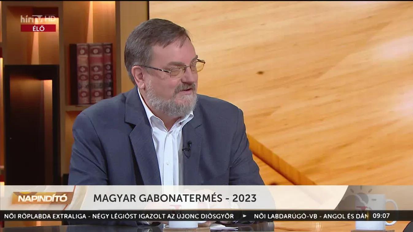 Napindító - Magyar gabonatermés 2023