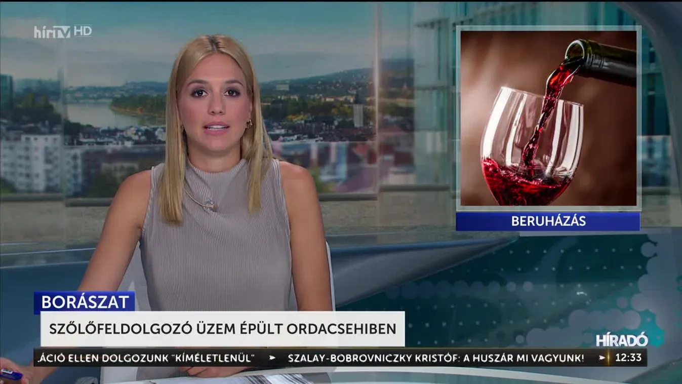 Szőlőfeldolgozó üzem épült Ordacsehiben