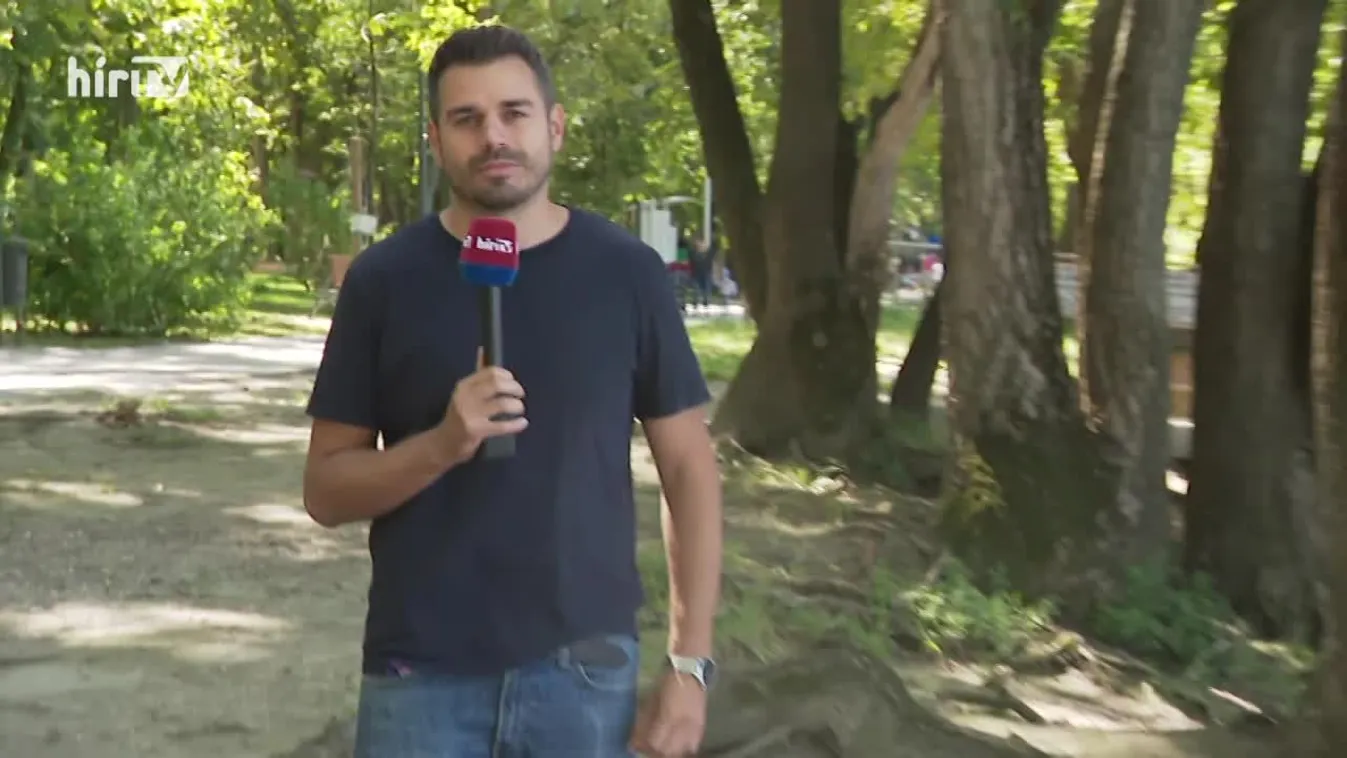 Egy hét alatt több mint két métert emelkedett a Duna vízszintje