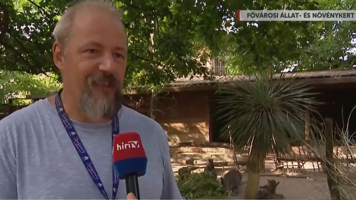 Napindító – Egyre több egzotikus állatot engednek szabadon