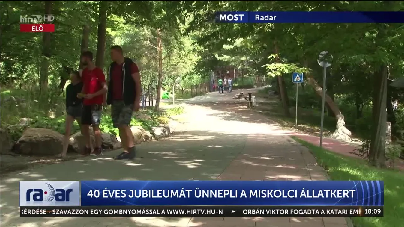 Radar - 40 éves jubileumát ünnepli a Miskolci Állatkert (2023-08-21)