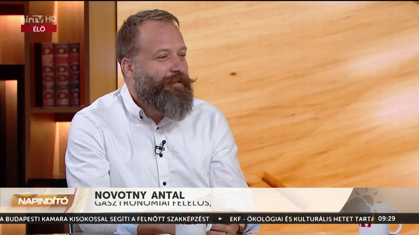 Napindító - Magyar ízek utcája (2023-08-11)