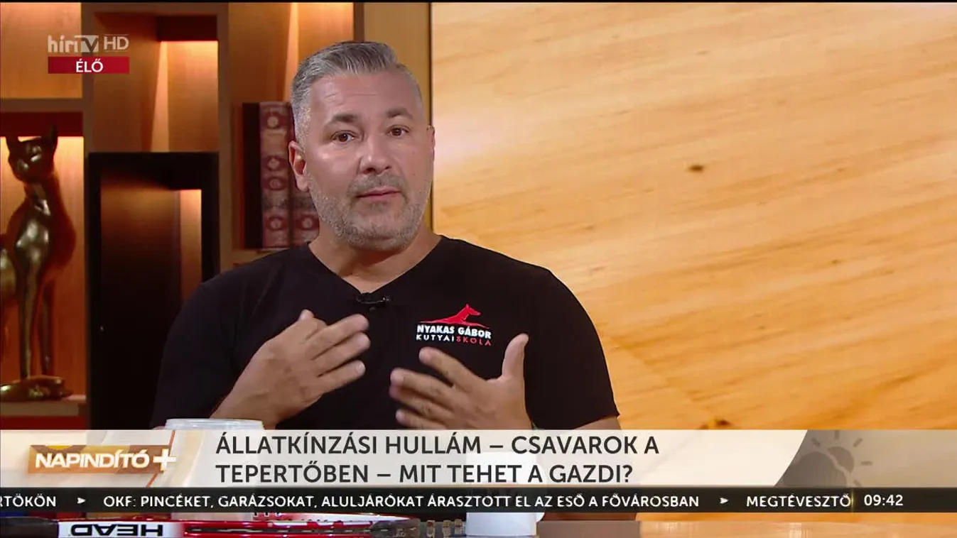 Napindító - Állatkínzási hullám (2023-08-04)