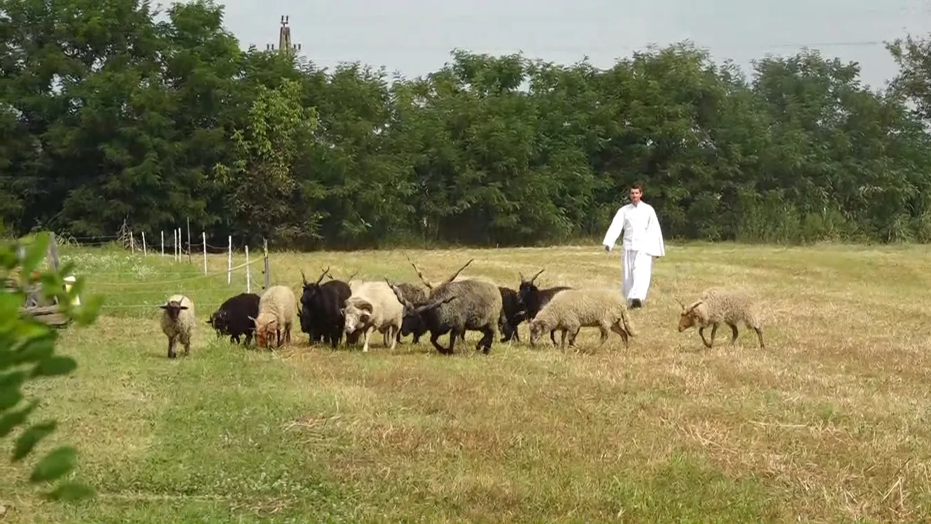 Ismét megrendezik a Bőköz Fesztivált