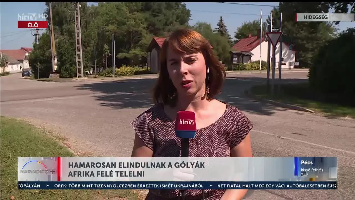 Napindító - Hamarosan elindulnak a gólyák Afrika felé telelni (2023-08-25)