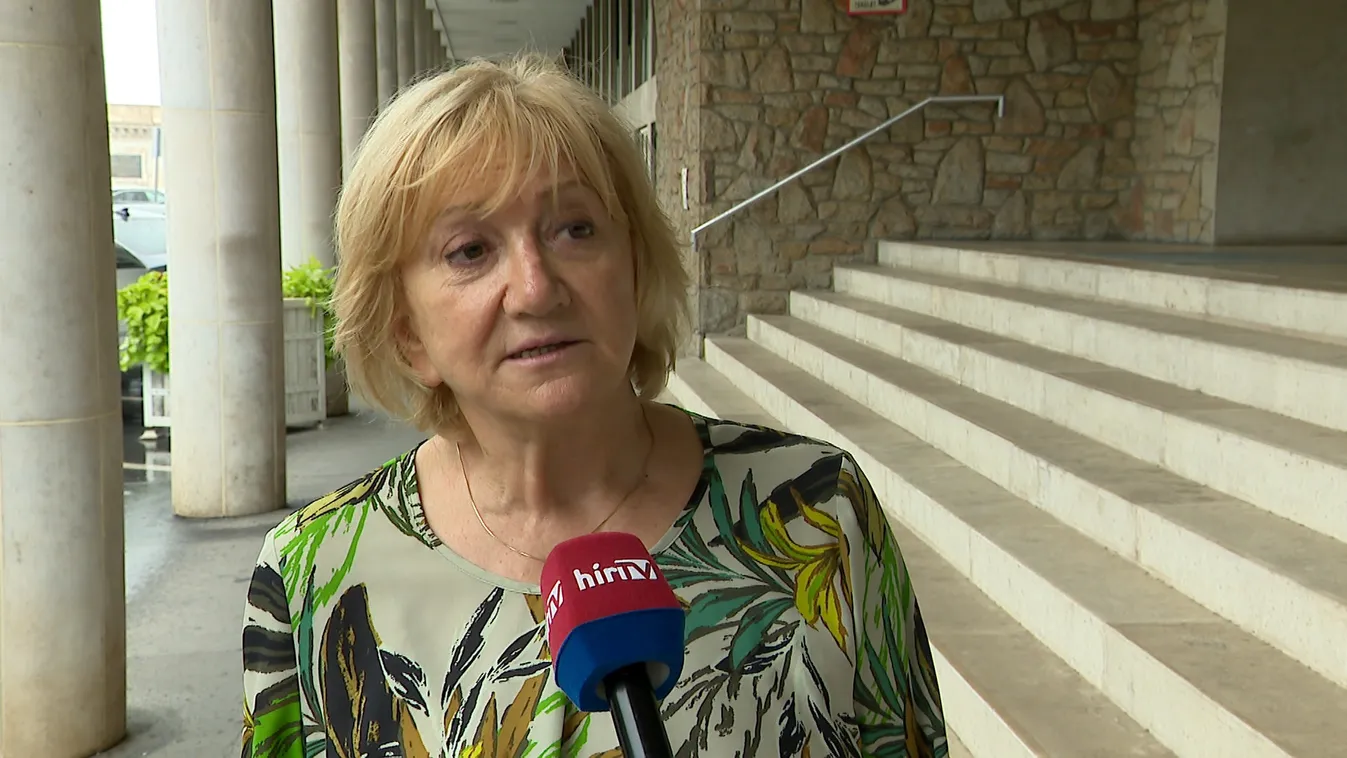 Az LMP nem akar közös ellenzéki Európai Parlamenti listát