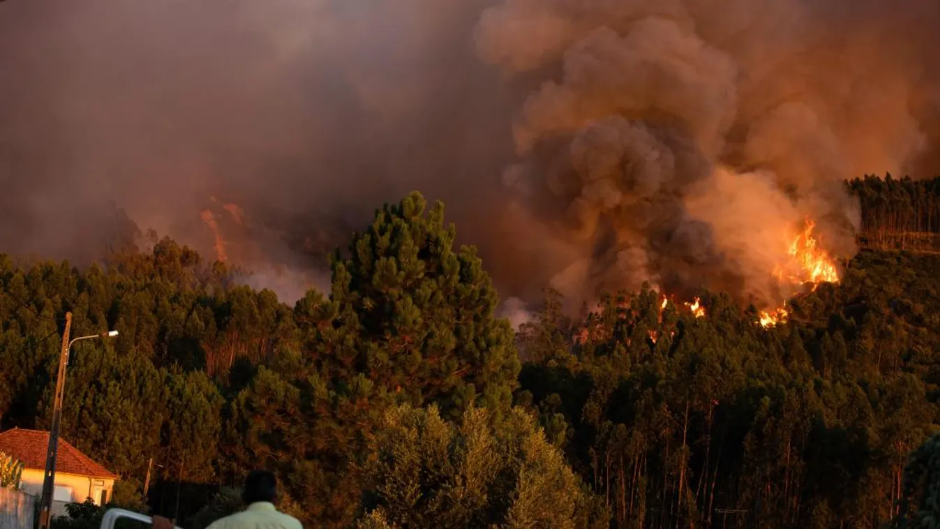Ezernél is több embert telepítettek ki Portugáliában az erdőtüzek miatt