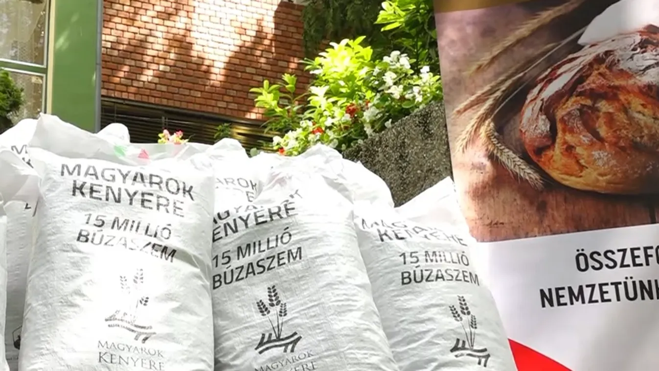 Radar - Magyarok kenyere