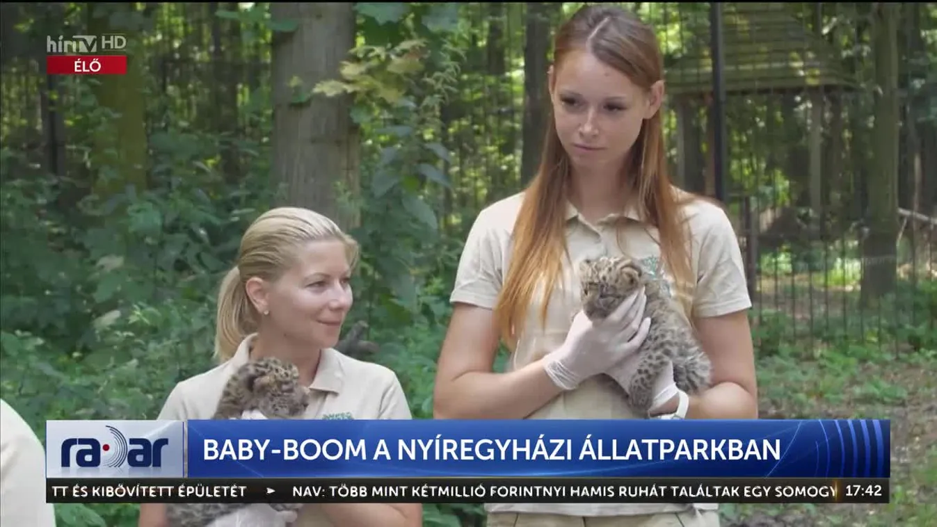 Radar - Baby-boom a Nyíregyházi Állatparkban (2023-08-31)