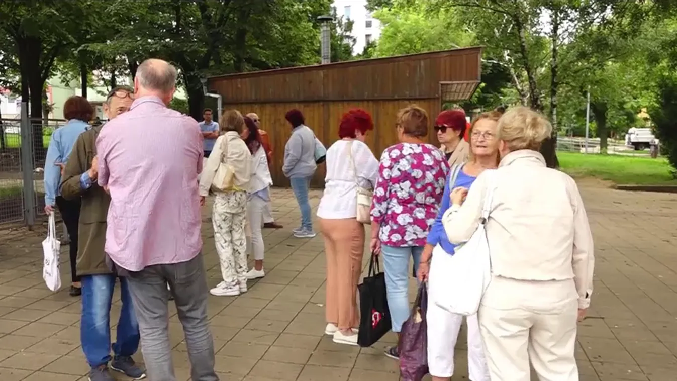 Fakivágások borzolják a kedélyeket Pécsett