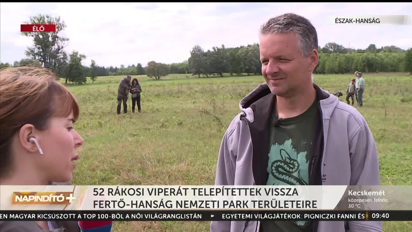 Napindító - 52 rákosi viperát telepítettek vissza a Fertő-Hanság Nemzeti Park területeire (2023-08-01)