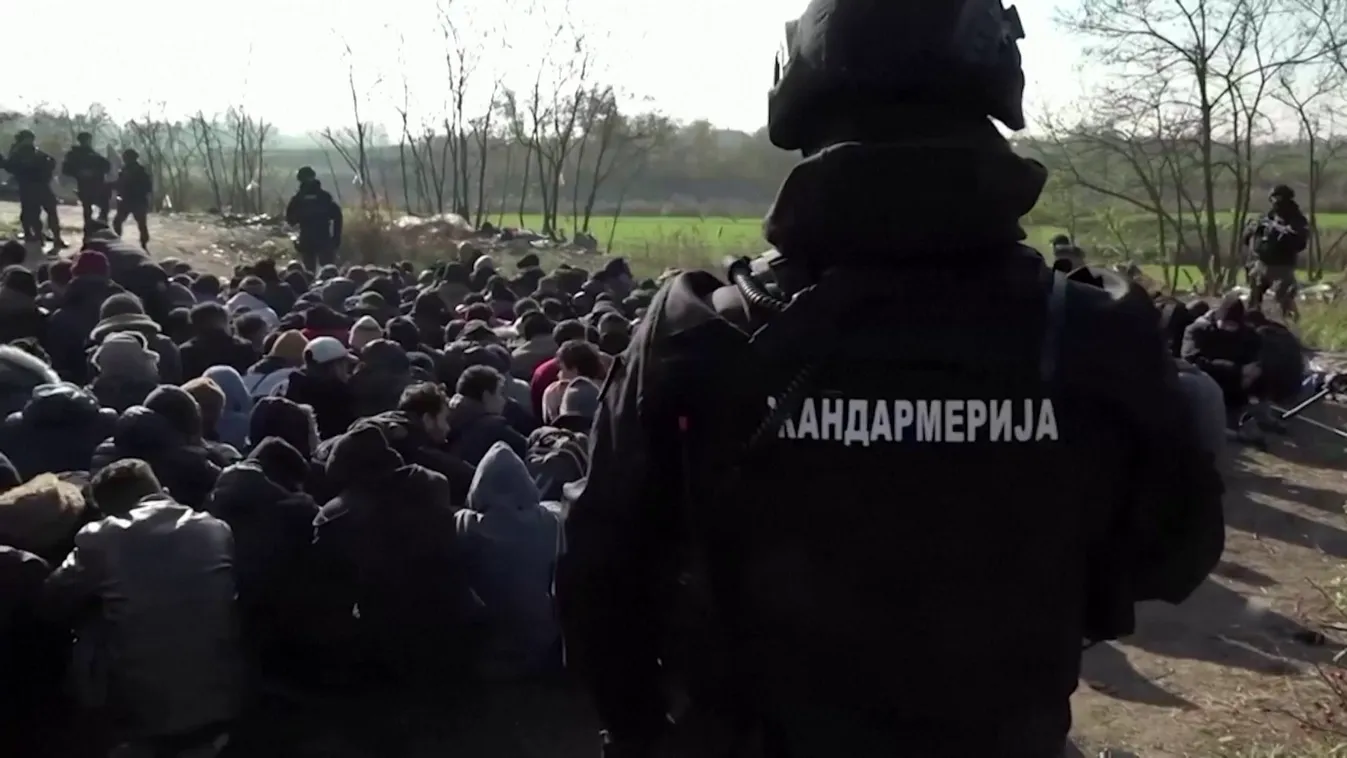Illegális bevándorlás - minden idők legnagyobb rendőrségi akciója zajlott Szabadkán és környékén