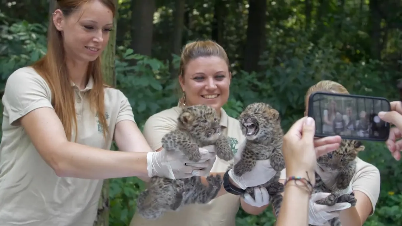 Radar – Baby-boom a Nyíregyházi Állatparkban