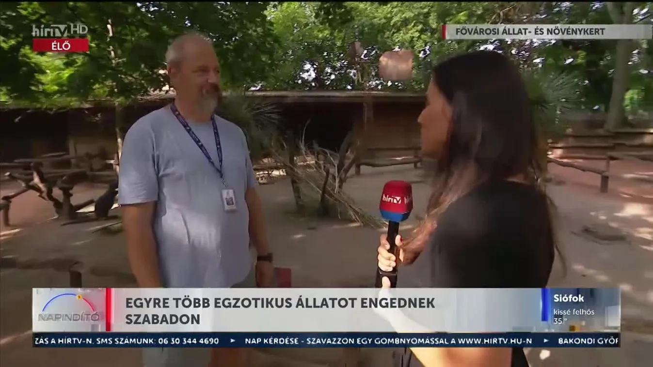 Napindító – Egyre több egzotikus állatot engednek szabadon (2023-08-28)