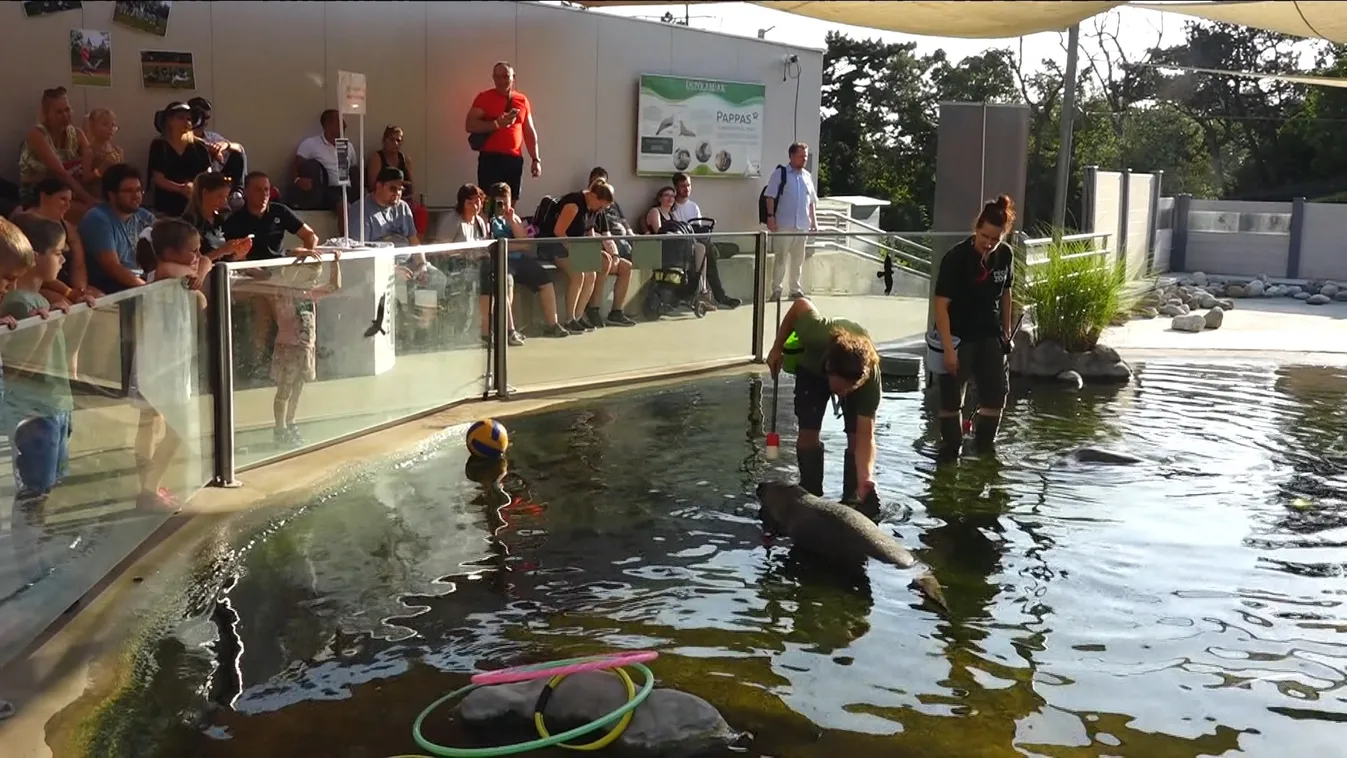 Állatkertek éjszakája