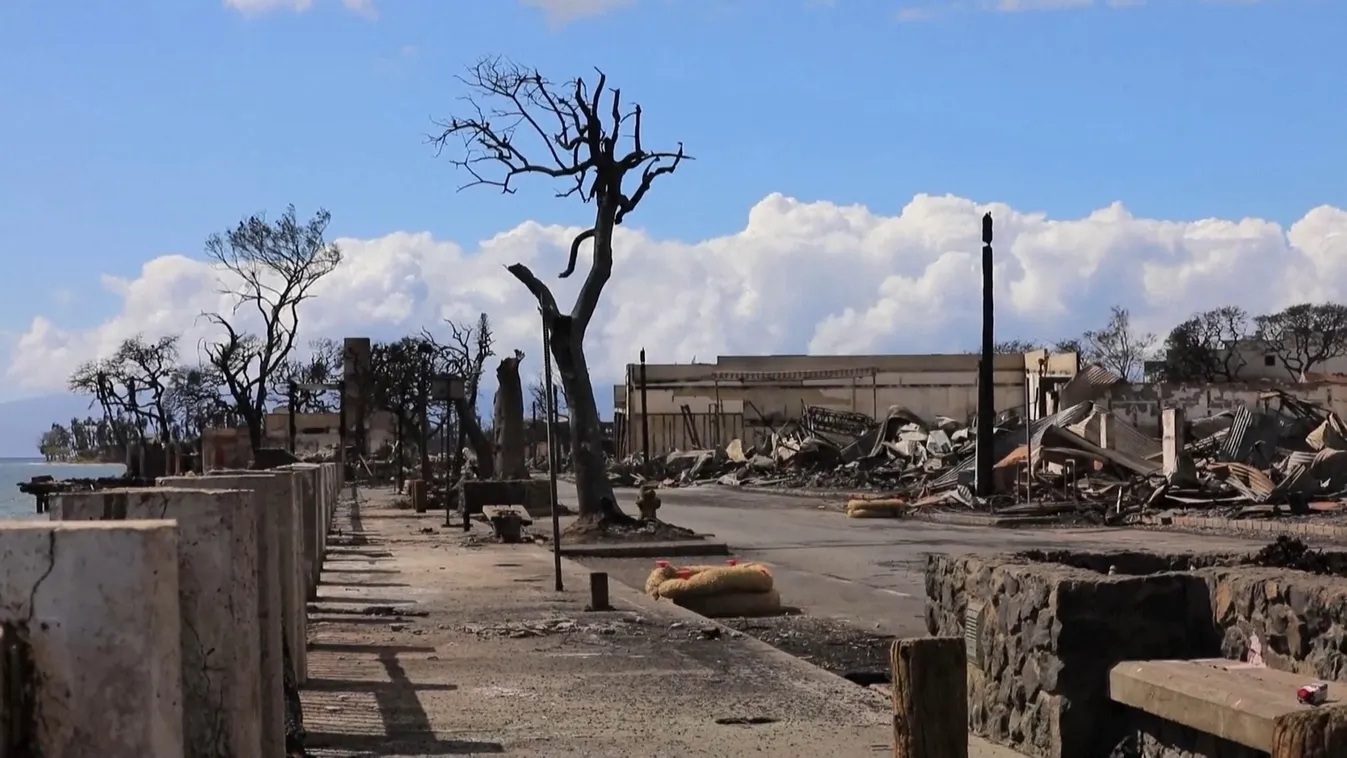 Tűzvészek pusztítanak világszerte