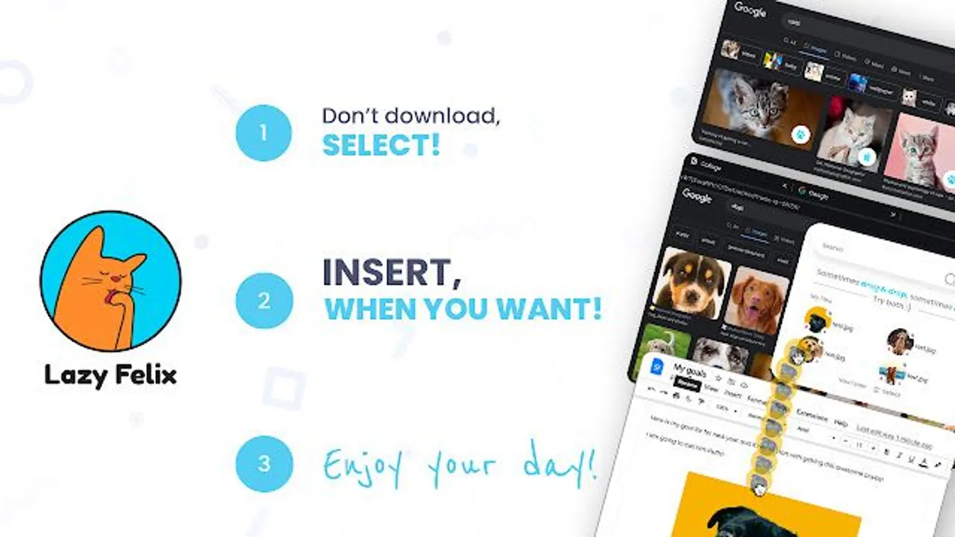 Újabb 20 milliót hozott a magyar IT-cég lusta macskája
