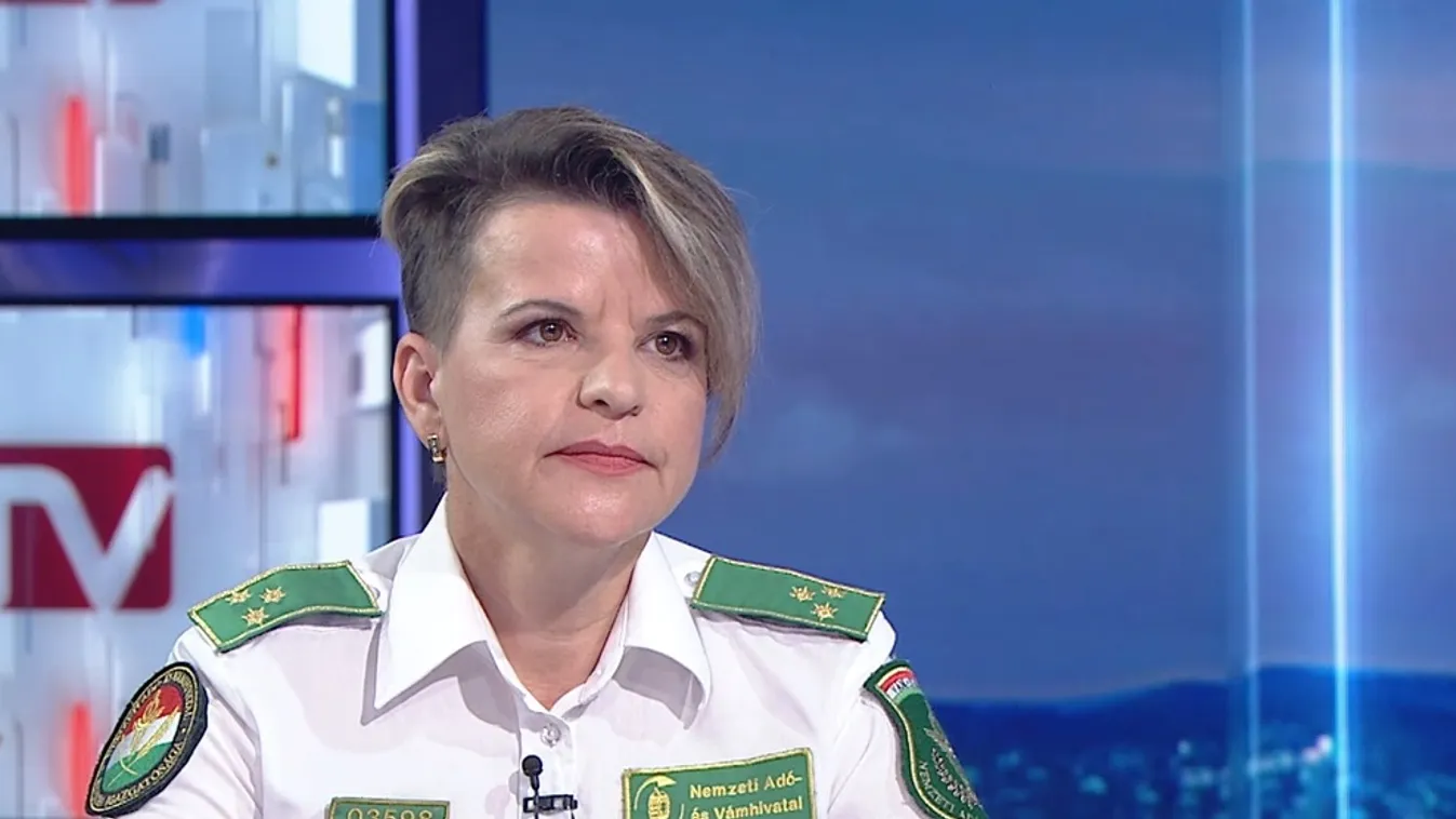 Napindító – Színlelt szoftvereket foglalt le a NAV