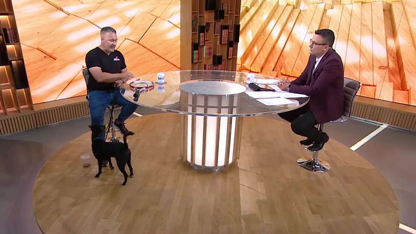 Napindító - Állatkínzási hullám