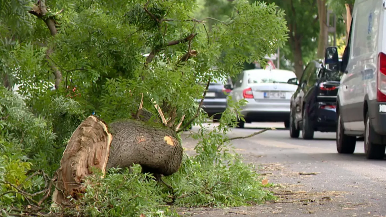 Súlyos károk a szélsőséges időjárás miatt