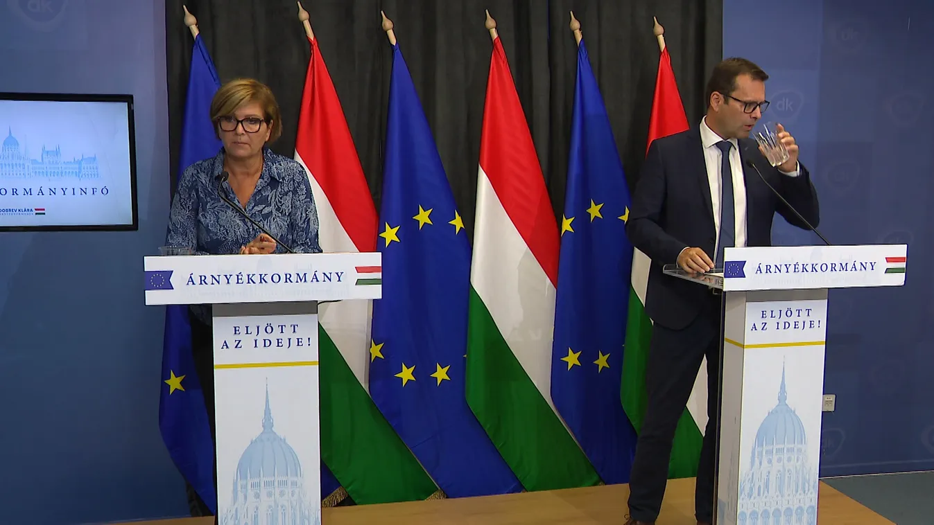 Új szövetségkötést és közös indulást szeretne a Demokratikus Koalíció