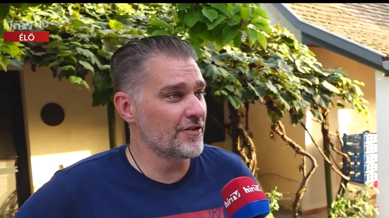 Napindító - Palkonyai Nyitott Pincék Fesztivál