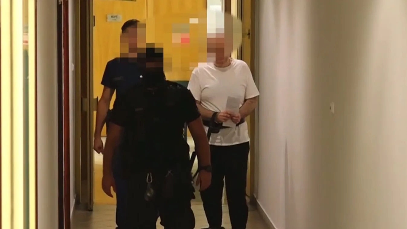 Megkezdődött Pécsen a gyilkossággal vádolt egészségügyi dolgozó pere