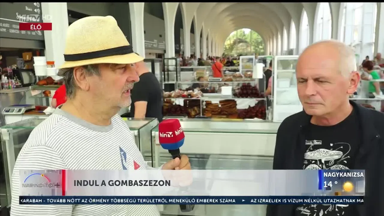 Napindító - Mindenképp vizsgáltassuk be az erdőben szedett gombát!