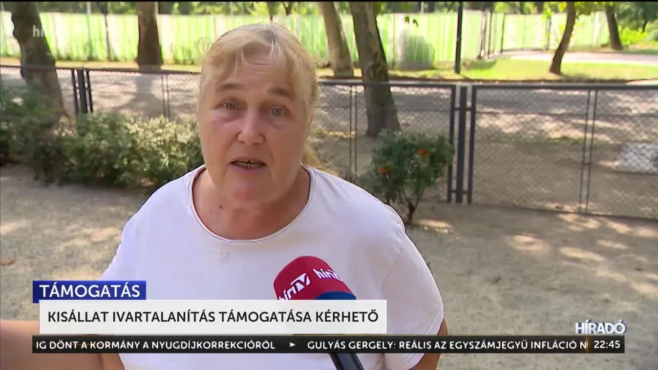 Kisállat ivartalanítás támogatása kérhető