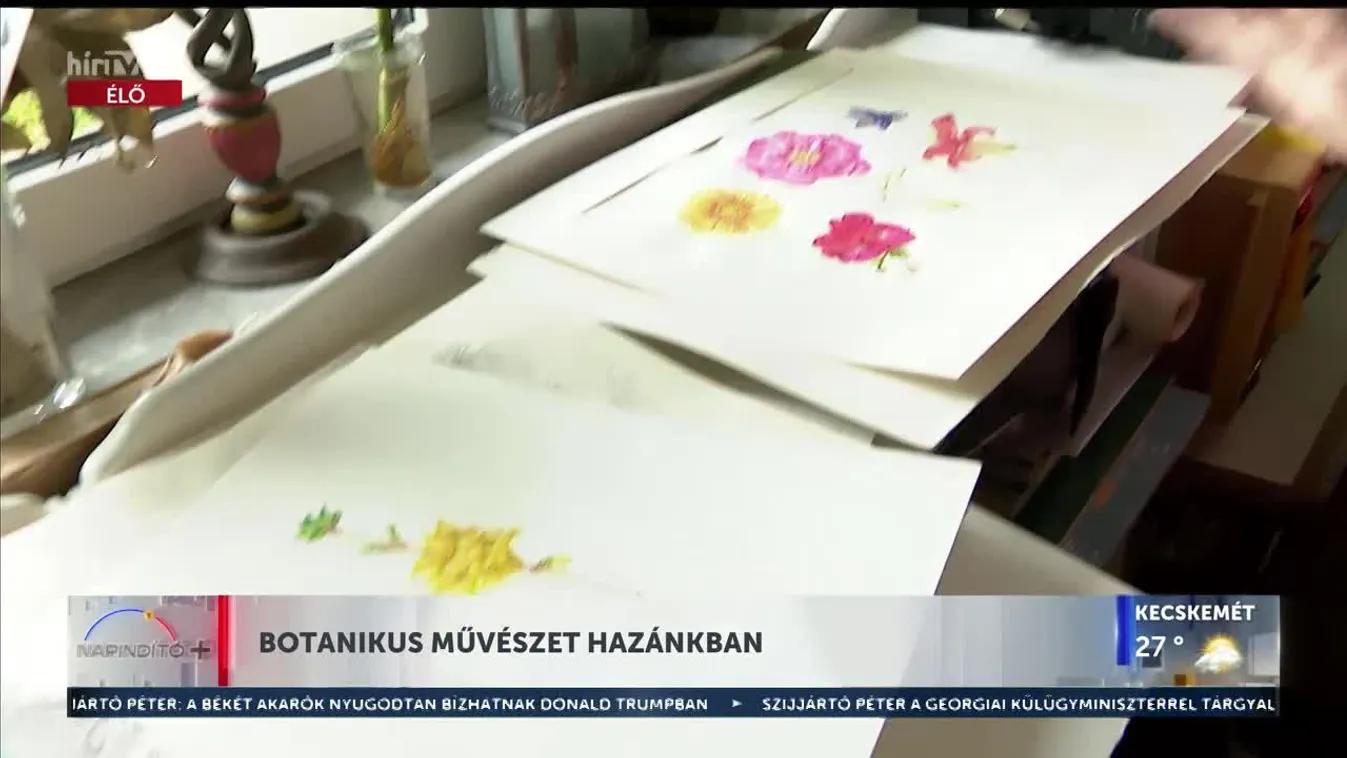 Napindító - Botanikus művészet hazánkban (2023-09-05)